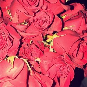 Meet your Posher, Bobbie